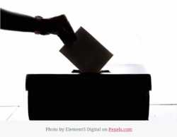 silhouette of a ballot being put into a box